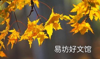 爱在深秋的句子 爱在深秋的句子有哪些