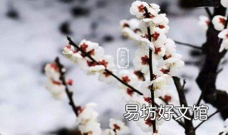 立冬佳句 立冬的好句