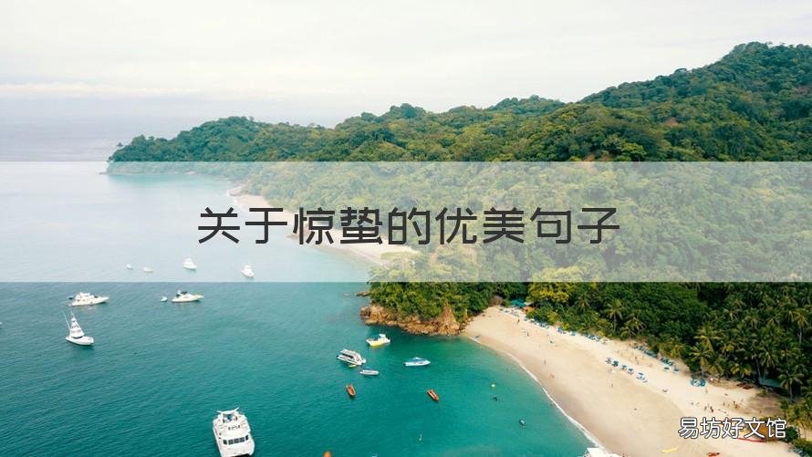 关于惊蛰的优美句子 关于惊蛰的优美句子英文
