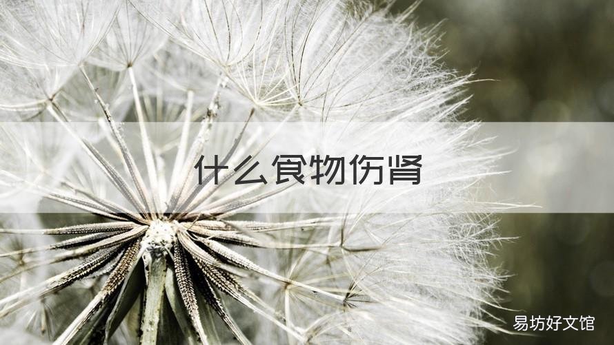 什么食物伤肾 什么食物伤肾最严重