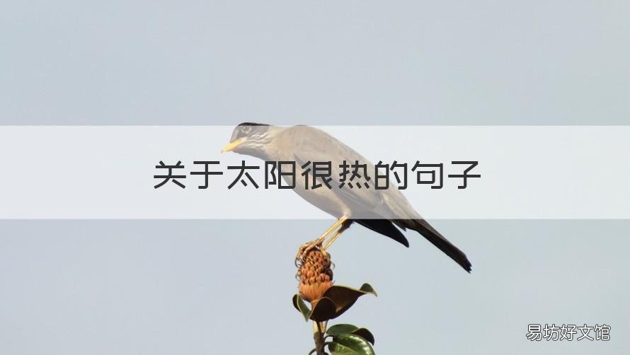 关于太阳很热的句子 关于太阳很热的句子唯美