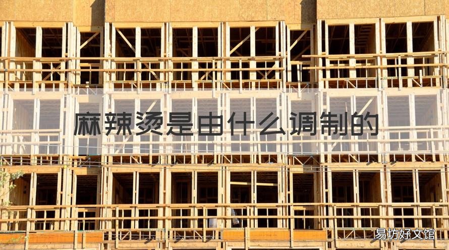 麻辣烫是由什么调制的 麻辣烫是由什么调制的食物