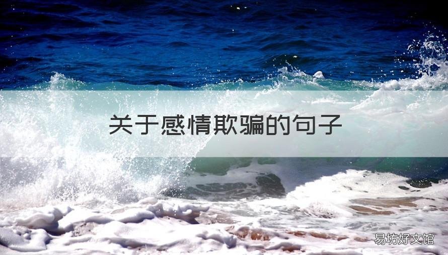 关于感情欺骗的句子 感情欺骗的句子说说心情