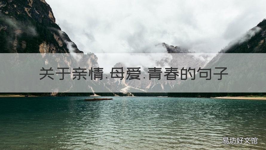 关于亲情.母爱.青春的句子 母亲感情的句子