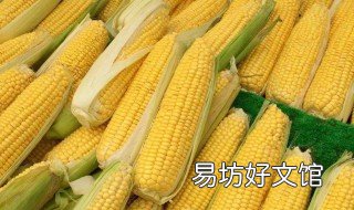 玉米储存方法 玉米储存方法家庭