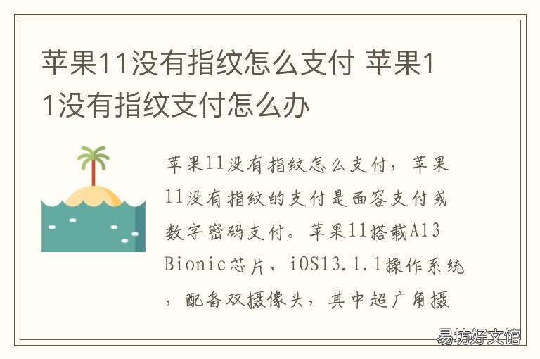 苹果11没有指纹怎么支付 苹果11没有指纹支付功能吗