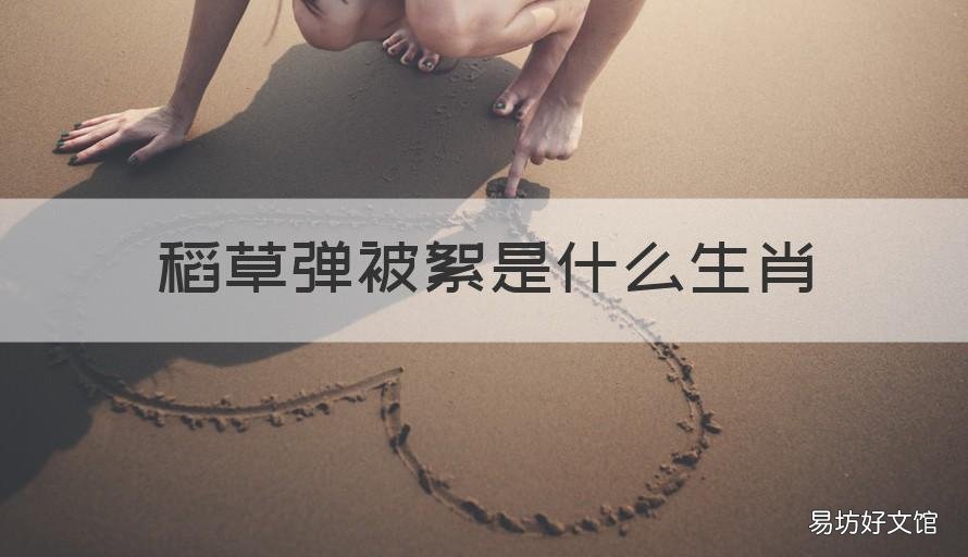 稻草弹被絮是什么生肖 稻草弹被絮是什么生肖动物