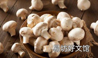蘑菇怎么做好吃 蘑菇怎么做好吃又简单的做法大全