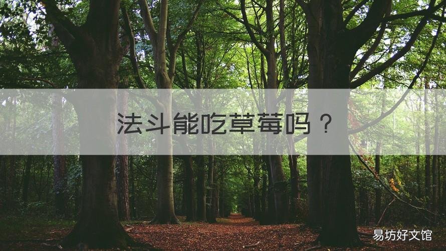 法斗能吃草莓吗 法斗可以吃蔓越莓吗