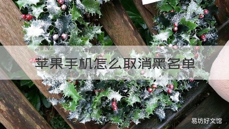 苹果手机怎么取消黑名单 苹果手机怎么取消黑名单里的来电短信拦截提示