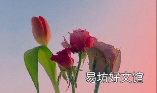 十二月早安语录 十二月早安语录图片