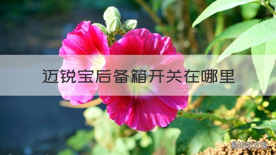迈锐宝后备箱开关在哪里 迈锐宝后备箱开关在哪里图解