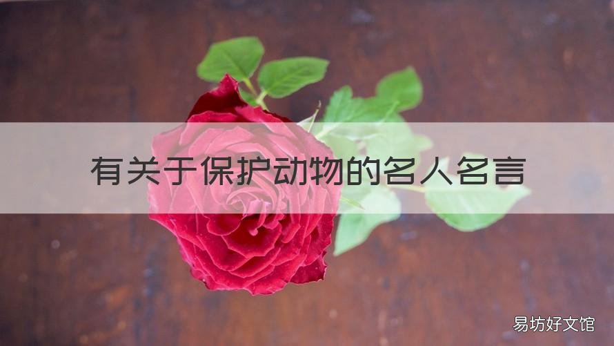 有关于保护动物的名人名言 关于保护动物的名人名言英文