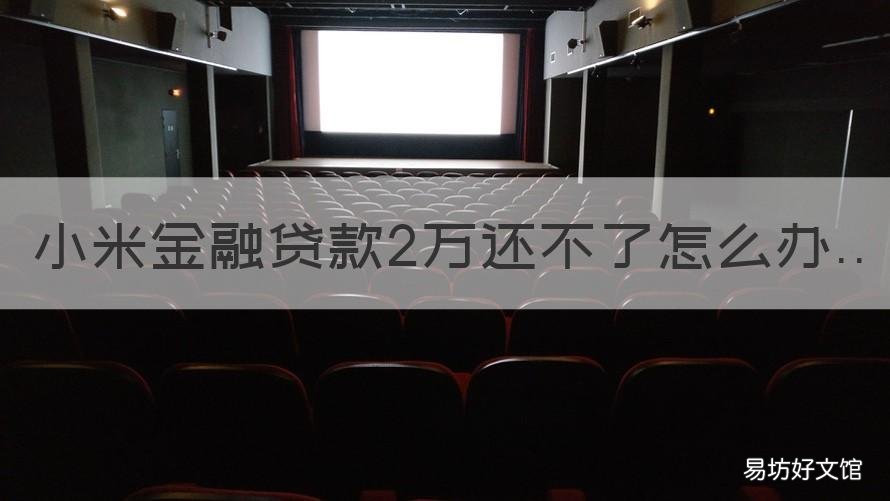 小米金融贷款2万还不了怎么办 小米金融贷款2万还不了怎么办理