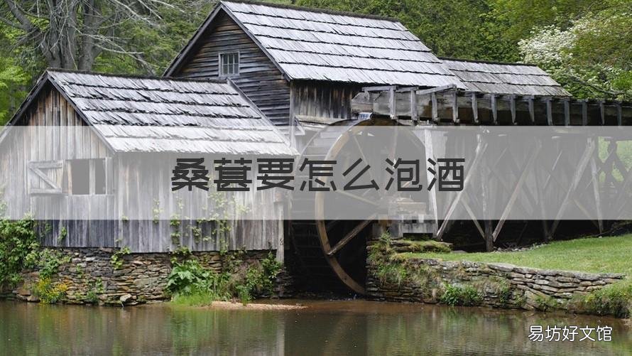 桑葚要怎么泡酒 桑葚怎么泡酒喝