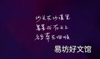 国王与乞丐歌词 国王与乞丐歌词图片