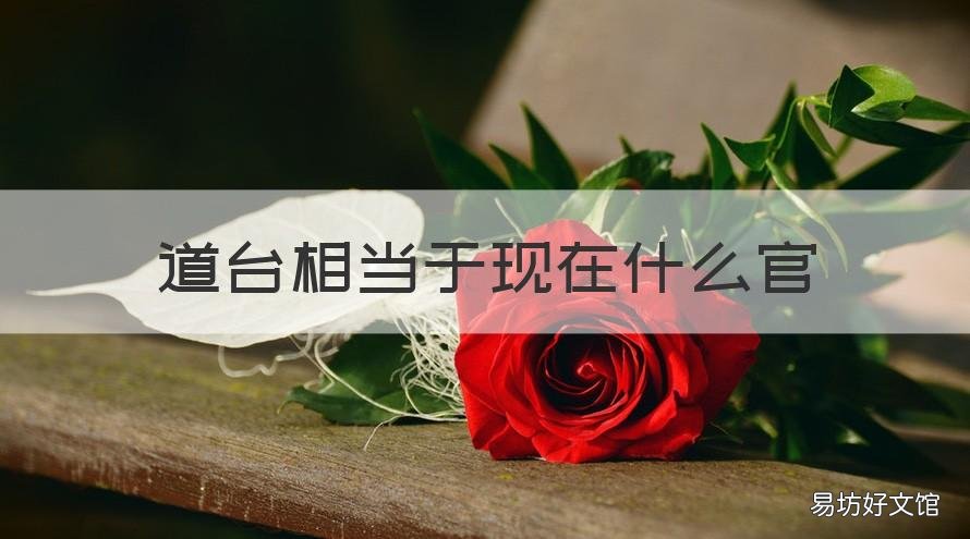 道台相当于现在什么官 道台相当于现在什么官?