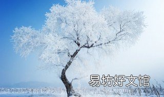下雪有意境的唯美短句 下雪有意境的唯美短句英文