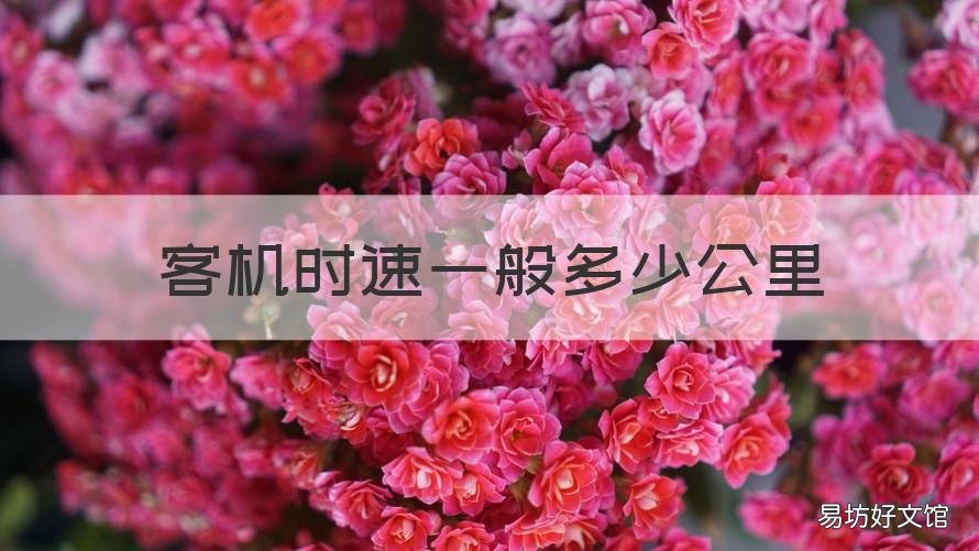 客机时速一般多少公里 客机的时速多少公里