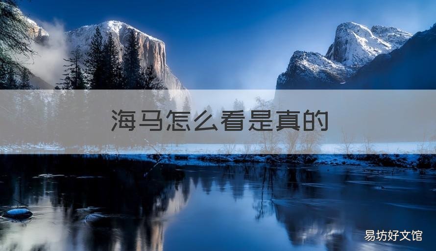 海马怎么看是真的 海马是什么样的给我看一下