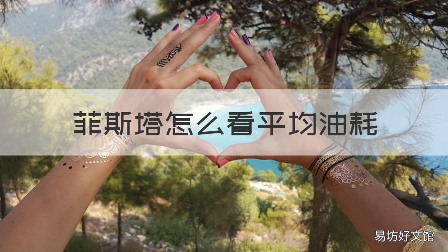 菲斯塔怎么看平均油耗 菲斯塔油耗表不准
