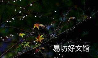 初冬的雨的诗句 初冬雨的诗句有哪些