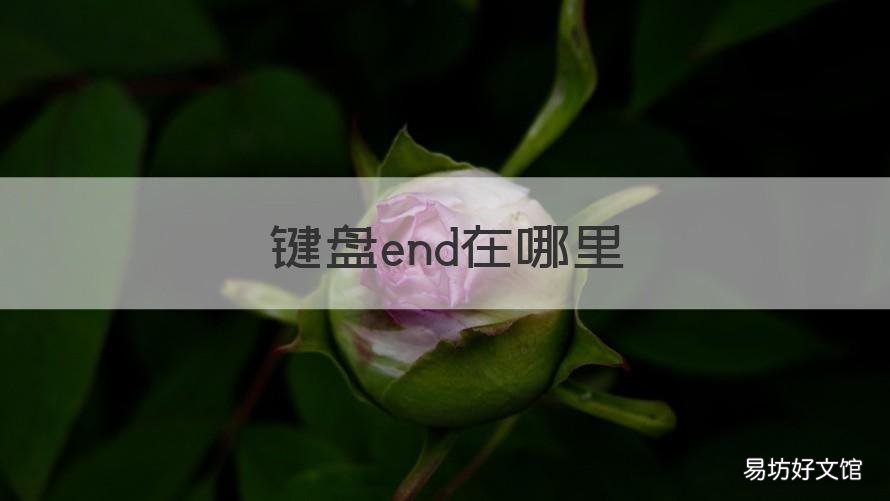 键盘end在哪里 end键盘里的哪个键