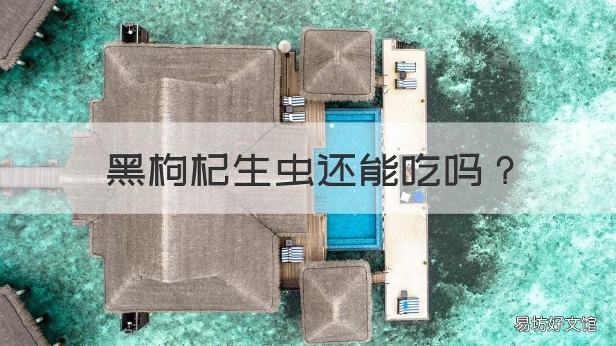 黑枸杞生虫还能吃吗 黑枸杞有虫子了能吃吗