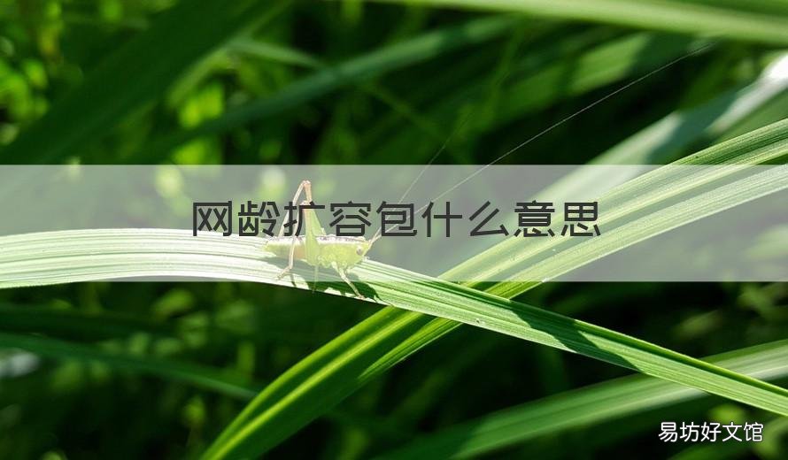 网龄扩容包什么意思 网龄扩容包是什么