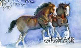 属马的男孩几点出生最好 属马男什么时辰出生最好