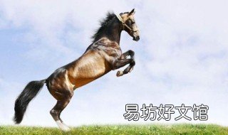 活马是什么意思 活马是什么意思知乎