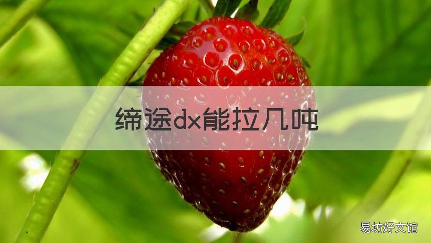 缔途dx能拉几吨 缔途dx货车质量怎么样?