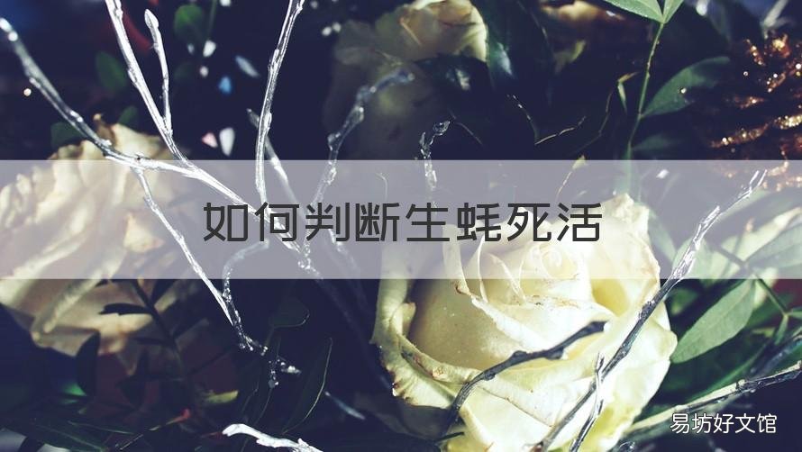 如何判断生蚝死活 生蚝咋判断死活