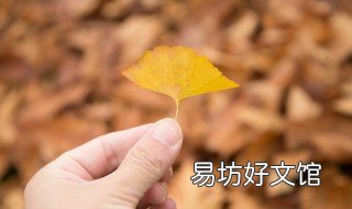 深秋树叶黄的诗句 秋天满树黄叶的诗句