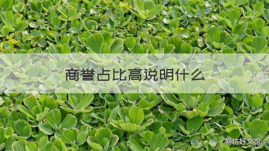 商誉占比高说明什么 商誉占比高意味着什么