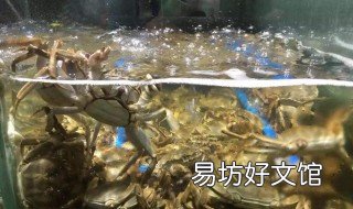 女人梦见很多活螃蟹 女人梦见很多活螃蟹还生了很多螃蟹