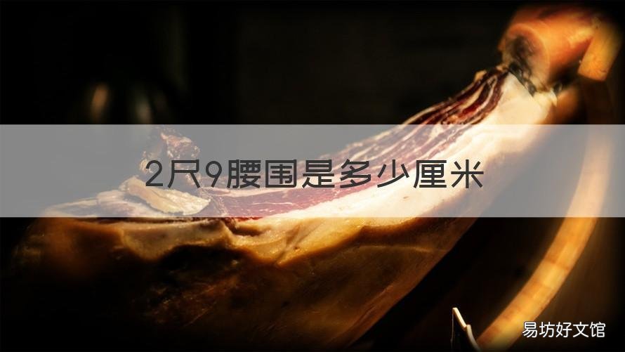 2尺9腰围是多少厘米 腰围2尺九是多少厘米
