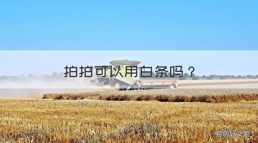 拍拍可以用白条吗 拍拍不能用白条