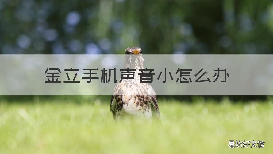 金立手机声音小怎么办 金立s10手机音量太小怎么办