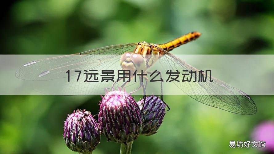 17远景用什么发动机 老远景和新远景发动机一样吗
