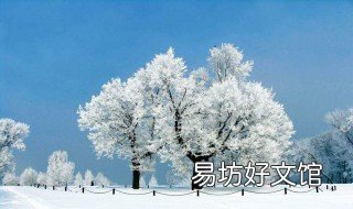 赞美冬天下雪的诗句 赞美冬天下雪的诗句有哪些