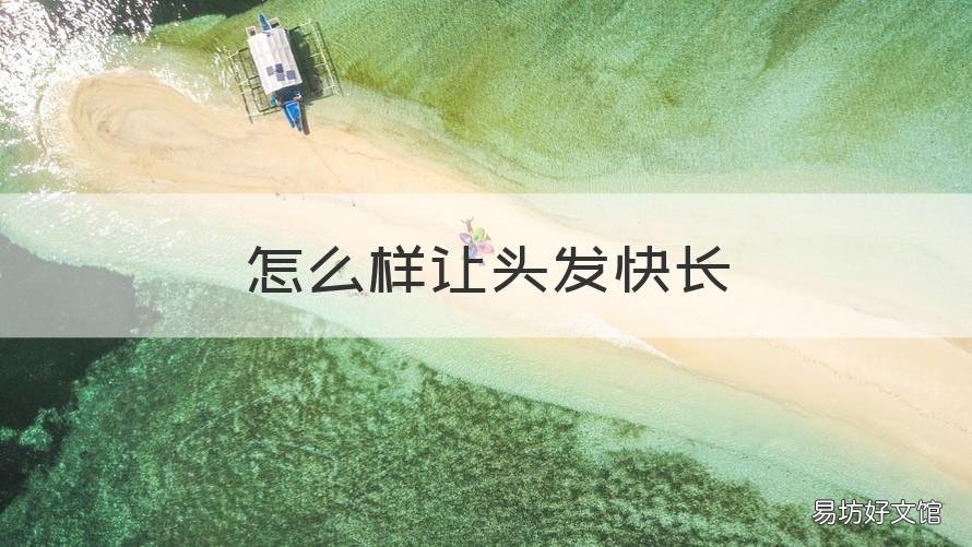 怎么样让头发快长 怎么样让头发长长快