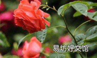 勾人心魂的句子 勾人魂魄的句子