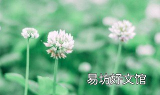 2019最禅意的英文句子 最有诗意的英文句子