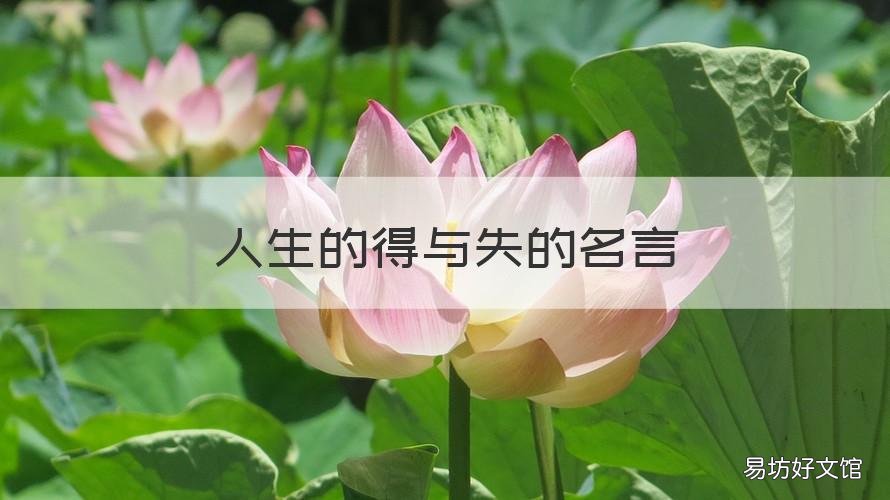 人生的得与失的名言 人生得与失的哲理名言