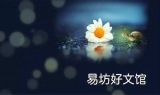 发朋友圈的精美短句子 发朋友圈的精美短句子岁月静好