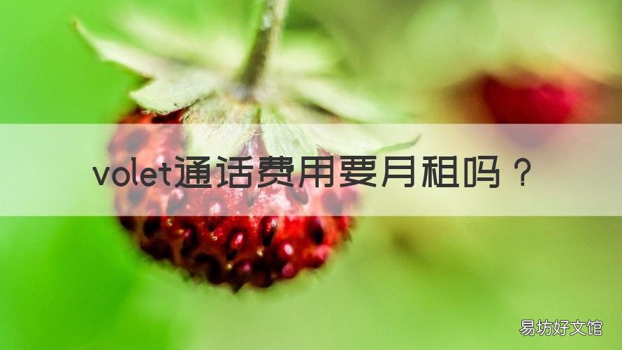 volet通话费用要月租吗 volte多少钱一个月