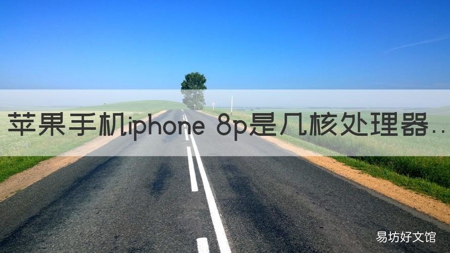 苹果手机iphone 8p是几核处理器 iphone 8p的处理器是多少