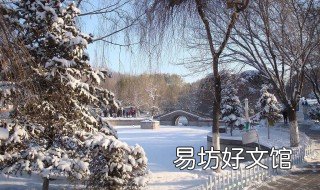 第一场雪的感言句子 第一场雪的感言句子怎么写