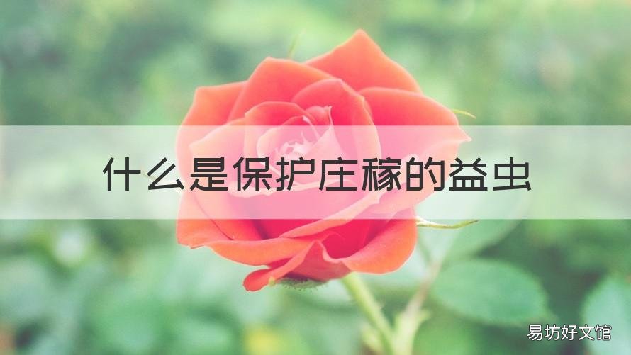 什么是保护庄稼的益虫 保护庄稼的好朋友有哪些益虫